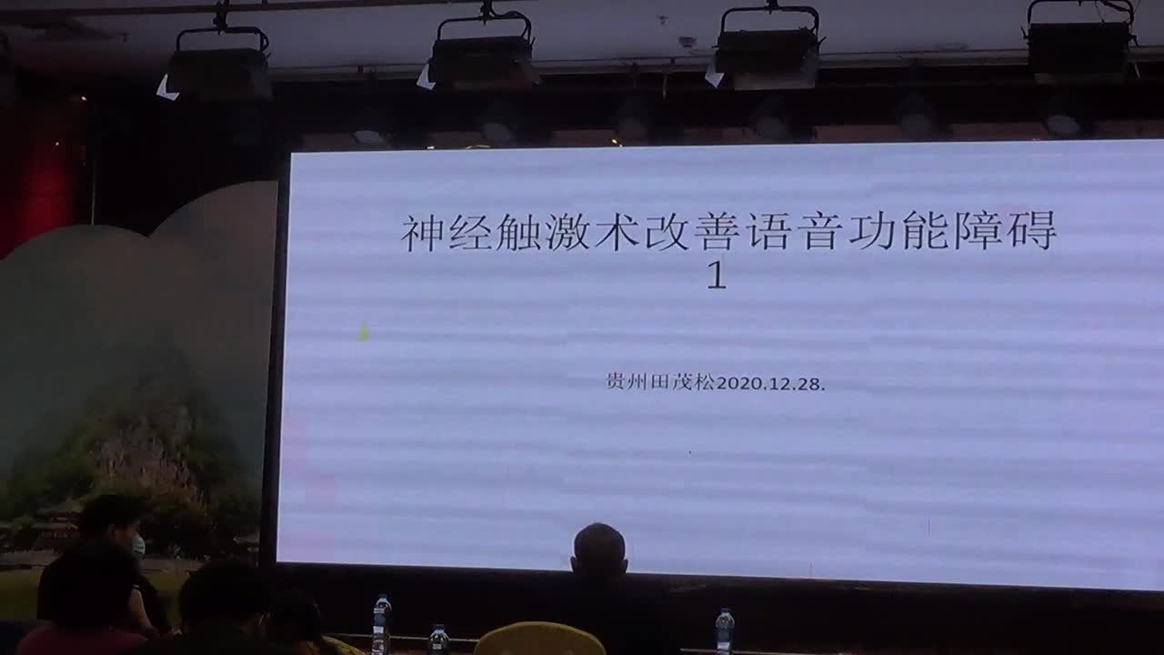 神经触激术改善语音功能障碍——田茂松